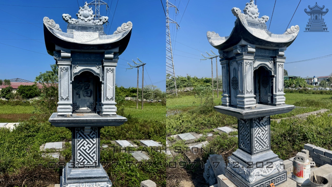 Cây hương đá ngoài trời